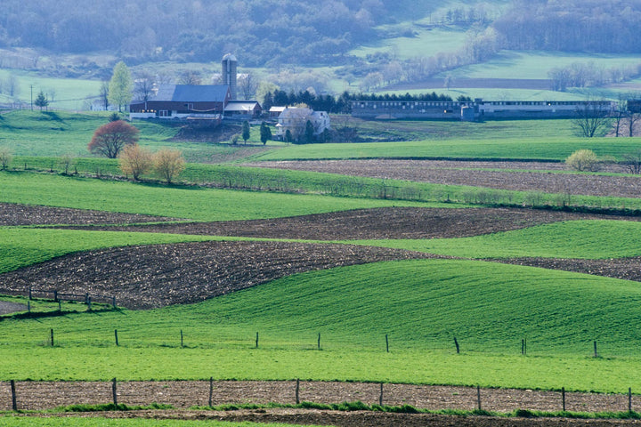 Amish farm landscape